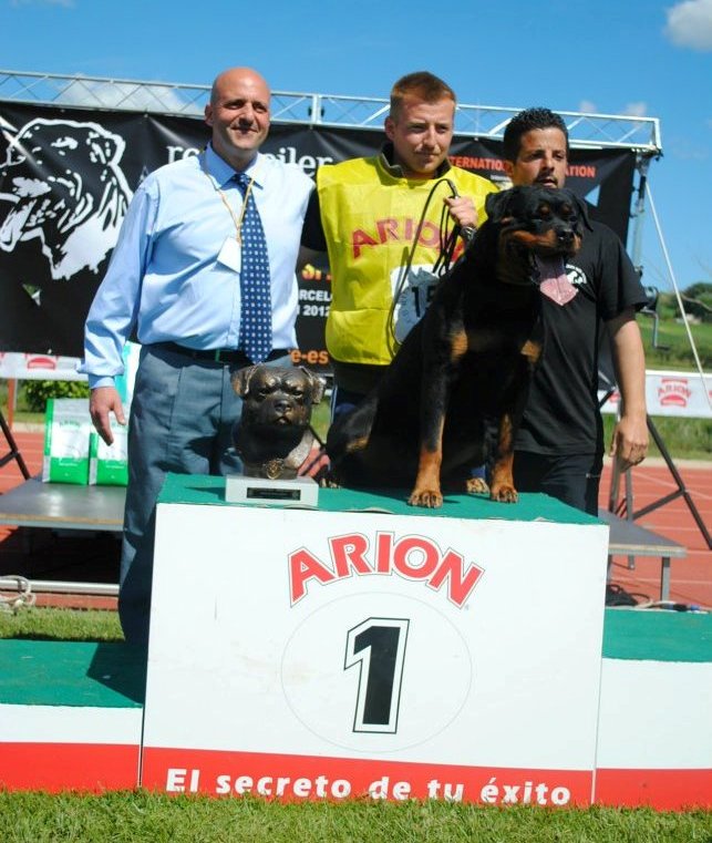 Fibi_van_Gorgar_-_I.F.R_2012
