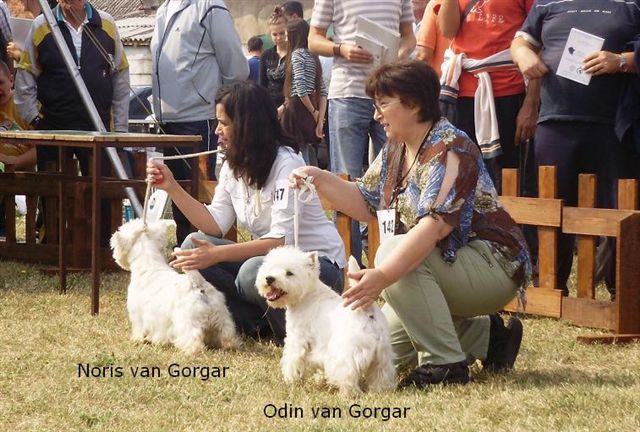 Noris and Odin van Gorgar