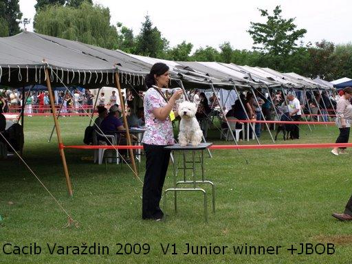 Odin van Gorgar
